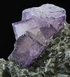 Huge Cubic Purple Fluorite on Sphalerite - Elmwood #33892-2